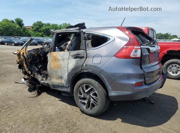 5J6RM4H45GL031130 2016 HONDA CR-V Gray Tył lewy