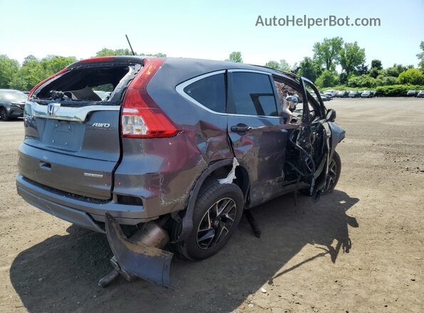 5J6RM4H45GL031130 2016 HONDA CR-V Gray Tył prawy