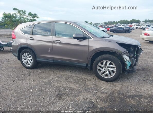 5J6RM4H53GL081937 2016 HONDA CR-V Brown Սալոնի հետևի տեսք