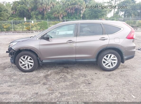 5J6RM4H53GL081937 2016 HONDA CR-V Brown Սալոնի 360 աստիճան տեսք