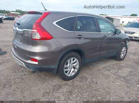 5J6RM4H53GL081937 2016 HONDA CR-V Brown Հետևի աջ
