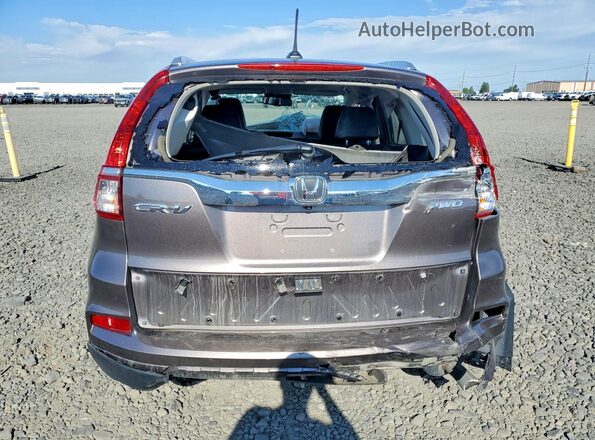 5J6RM4H90GL133995 2016 HONDA CR-V Tan Հետևի տեսք