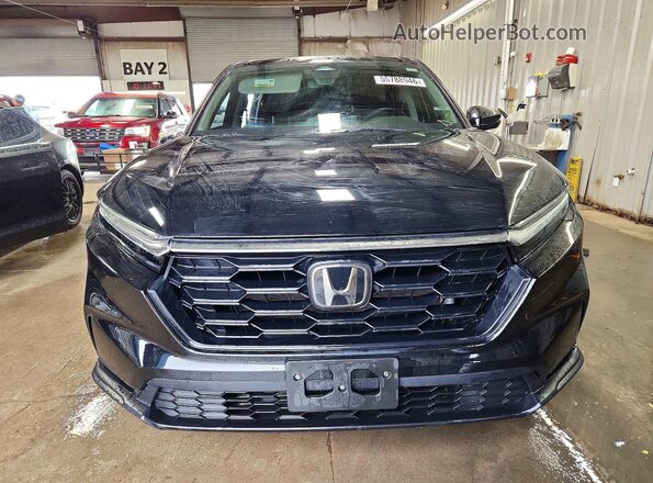 5J6RS4H26RL003036 2024 HONDA CR-V Черный Вид спереди