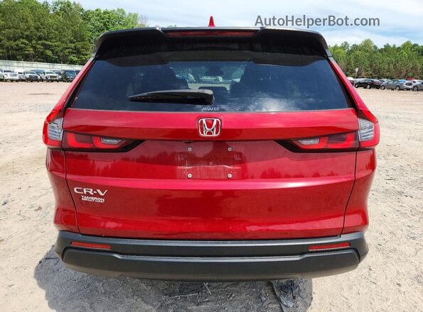 5J6RS4H45RL010237 2024 HONDA CR-V Red Widok z tyłu