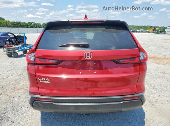 5J6RS4H48RL010216 2024 HONDA CR-V Бордовый Вид сзади