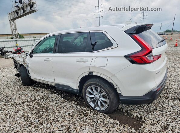 5J6RS4H77RL016342 2024 HONDA CR-V White უკანა მარცხენა