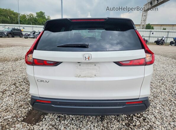5J6RS4H77RL016342 2024 HONDA CR-V White უკანა ხედი