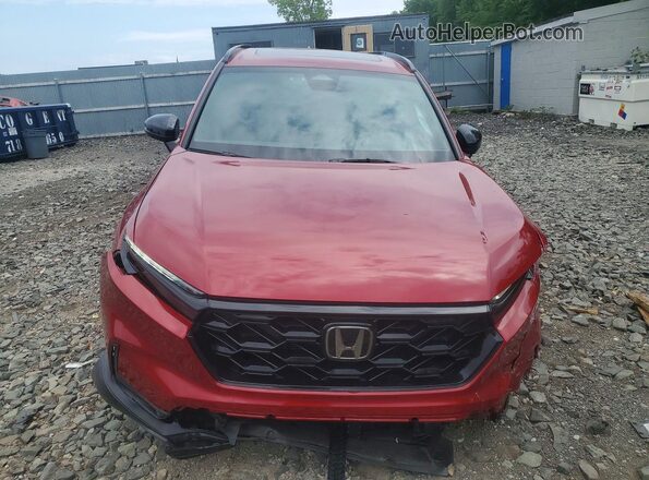 5J6RS6H5XTL009886 2026 HONDA CR-V Бордовый Вид спереди