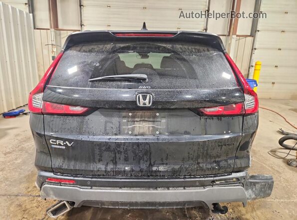 5J6RS6H87RL034778 2024 HONDA CR-V Black უკანა ხედი