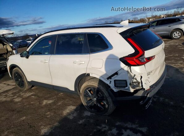 5J6RS6H95RL018720 2024 HONDA CR-V White უკანა მარჯვენა