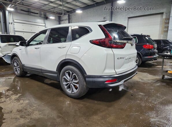 5J6RT6H52NL011101 2022 HONDA CR-V Белый Задняя левая четверть