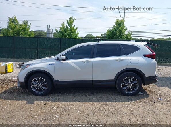5J6RT6H57NL023471 2022 HONDA CR-V White Widok wnętrza 360 stopni