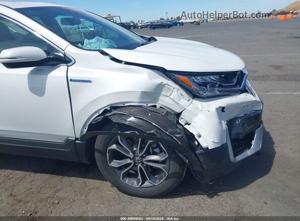 5J6RT6H80NL030191 2022 HONDA CR-V White Widok wnętrza z tyłu