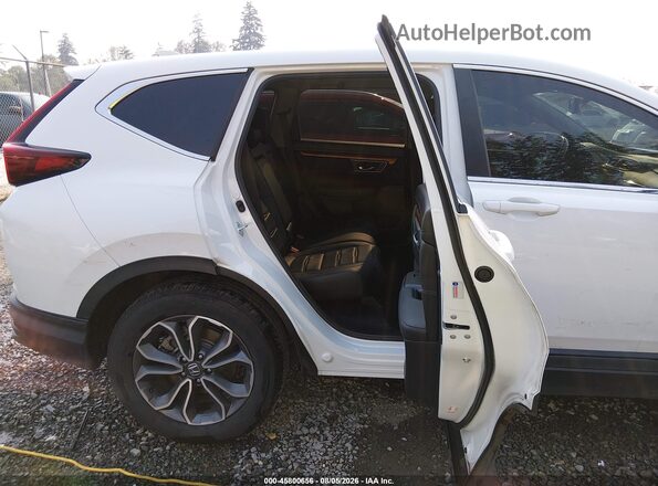 5J6RT6H88NL008780 2022 HONDA CR-V White VIN sticker view