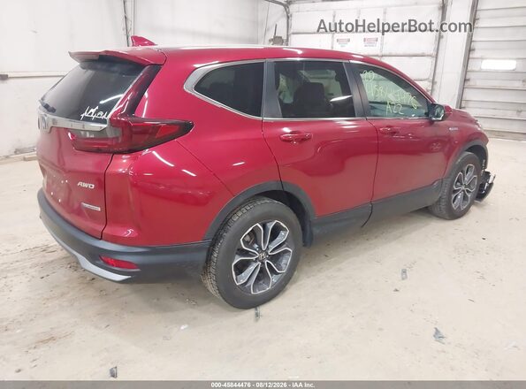 5J6RT6H89NL017357 2022 HONDA CR-V Red Rear left