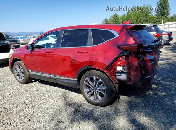 5J6RT6H90NL044309 2022 HONDA CR-V Красный Задняя левая четверть