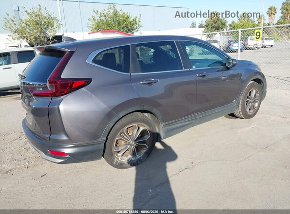 5J6RW1H53MA006865 2021 HONDA CR-V Gray Tył prawy