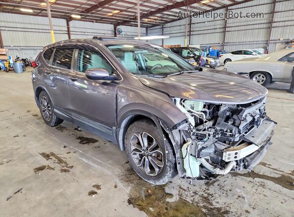 5J6RW1H56LL006183 2020 HONDA CR-V Gray წინა მარჯვენა