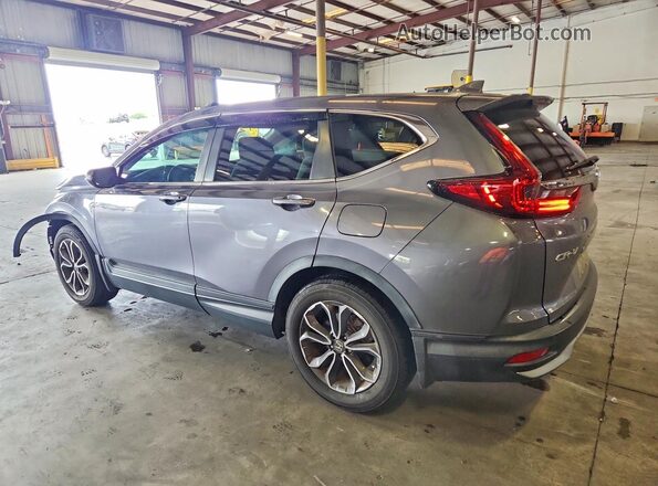 5J6RW1H56LL006183 2020 HONDA CR-V Gray უკანა მარცხენა