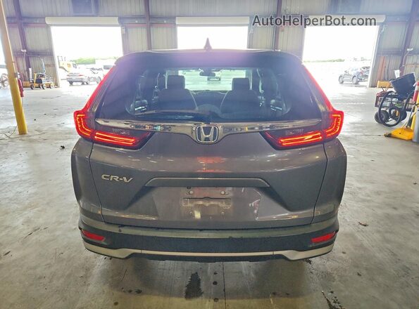 5J6RW1H56LL006183 2020 HONDA CR-V Gray უკანა ხედი
