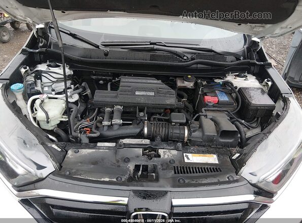 5J6RW2H27LA014672 2020 HONDA CR-V White Հետևի տեսք