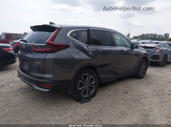 5J6RW2H59LL046148 2020 HONDA CR-V Gray Tył prawy