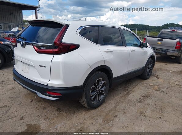 5J6RW2H83ML008166 2021 HONDA CR-V Tan Tył prawy