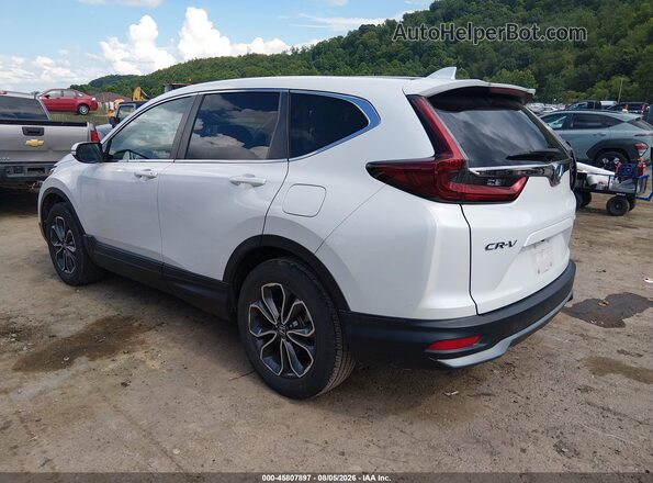 5J6RW2H83ML008166 2021 HONDA CR-V Tan Tył lewy