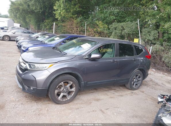 5J6RW2H85HL030661 2017 HONDA CR-V Gray Սալոնի 360 աստիճան տեսք
