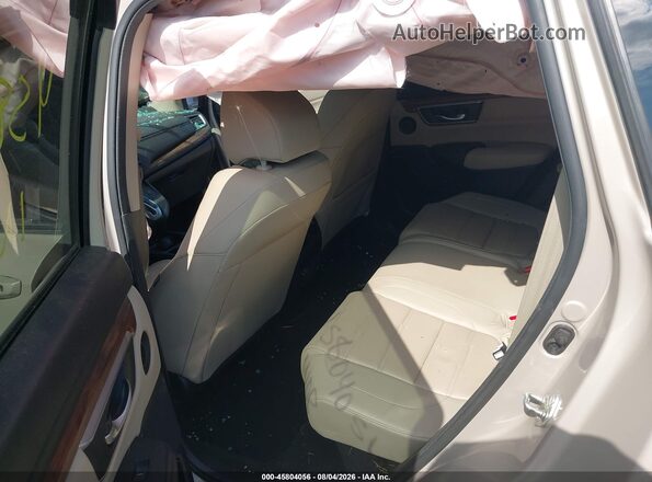 5J6RW2H86HL068979 2017 HONDA CR-V Beige VIN sticker view