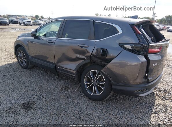 5J6RW2H88LA015267 2020 HONDA CR-V Gray Trasero izquierdo