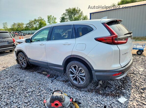 5J6RW2H8XLL016943 2020 HONDA CR-V Белый Задняя левая четверть