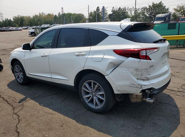 5J8TC2H53KL025154 2019 ACURA RDX Белый Задняя левая четверть