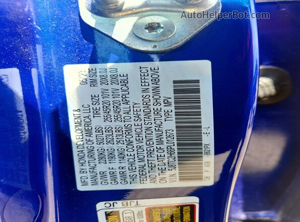 5J8TC2H66PL012673 2023 ACURA RDX Blue Vista de la etiqueta del VIN