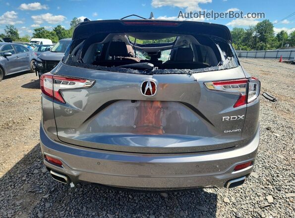 5J8TC2H73TL000564 2026 ACURA RDX Gray Вид ззаду