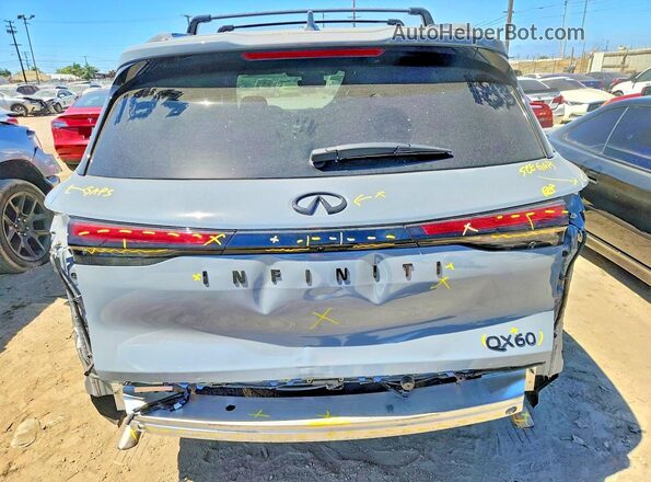 5N1AL1FR2SC338231 2025 INFINITI QX60 Gray Вид ззаду