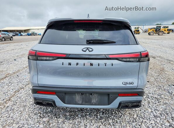 5N1AL1FR6SC330682 2025 INFINITI QX60 Gray Հետևի տեսք