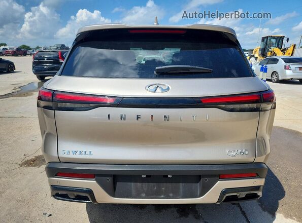 5N1AL1FR8SC350058 2025 INFINITI QX60 Beige უკანა ხედი