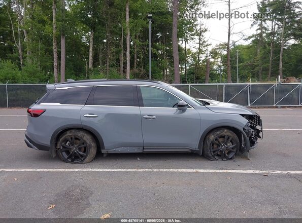 5N1AL1FS5SC351946 2025 INFINITI QX60 Gray Панорамний вид салону 360°