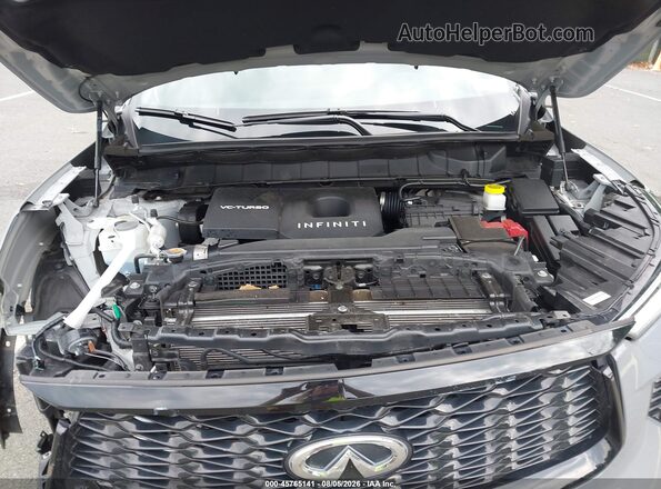 5N1AL1FS5SC351946 2025 INFINITI QX60 Gray Вид ззаду