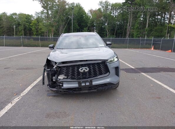 5N1AL1FS5SC351946 2025 INFINITI QX60 Gray Вид задньої частини салону