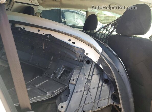 5N1AZ2MS9KN159862 2019 NISSAN MURANO Белый Вид задней части салона