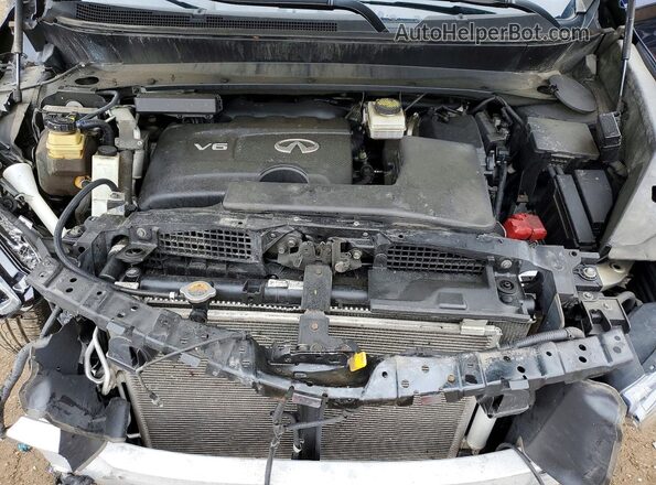 5N1DL0MM0KC522775 2019 INFINITI QX60 Blue Սալոնի հետևի տեսք