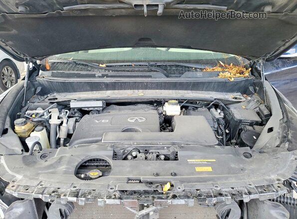 5N1DL0MN7LC541429 2020 INFINITI QX60 Blue Սալոնի հետևի տեսք