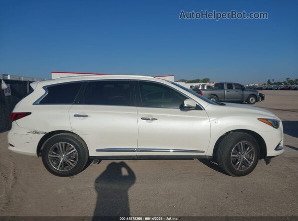 5N1DL0MN8KC516862 2019 INFINITI QX60 White Вид задньої частини салону