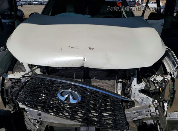 5N1DL1FR0PC352732 2023 INFINITI QX60 White Սալոնի հետևի տեսք