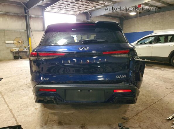 5N1DL1FS1RC342989 2024 INFINITI QX60 Синий Вид сзади