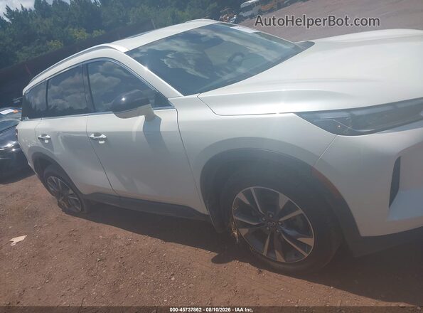 5N1DL1FS5PC374924 2023 INFINITI QX60 Белый Вид задней части салона