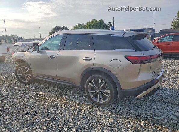 5N1DL1FSXPC373509 2023 INFINITI QX60 Gray Tył lewy