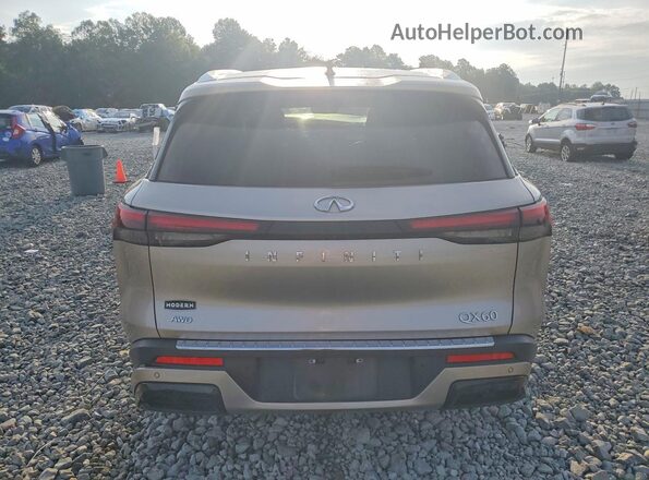 5N1DL1FSXPC373509 2023 INFINITI QX60 Gray Widok z tyłu